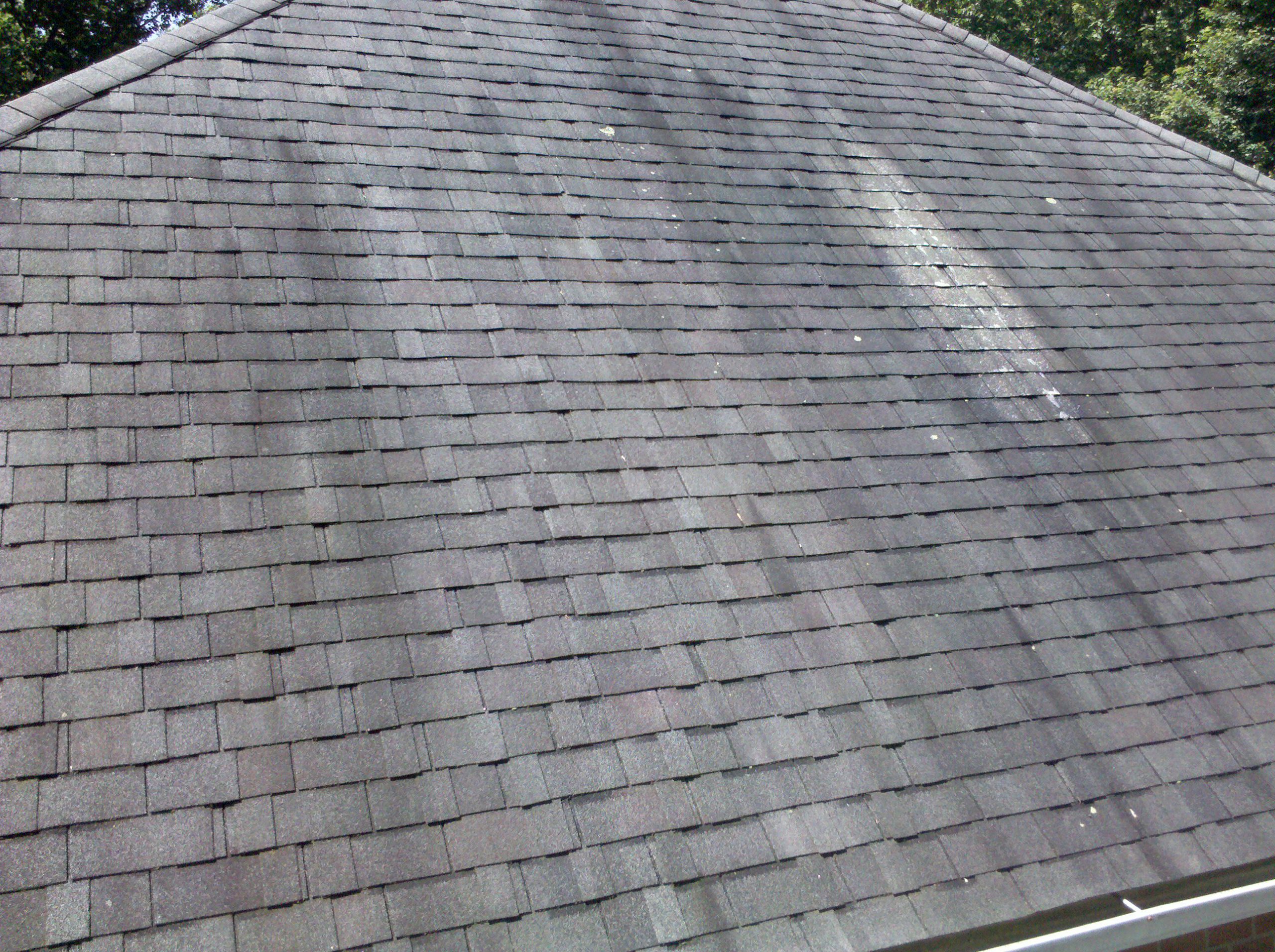 roof cleaning service