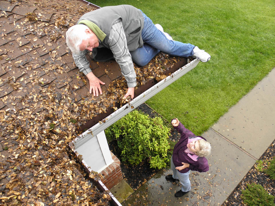 gutter cleaning services