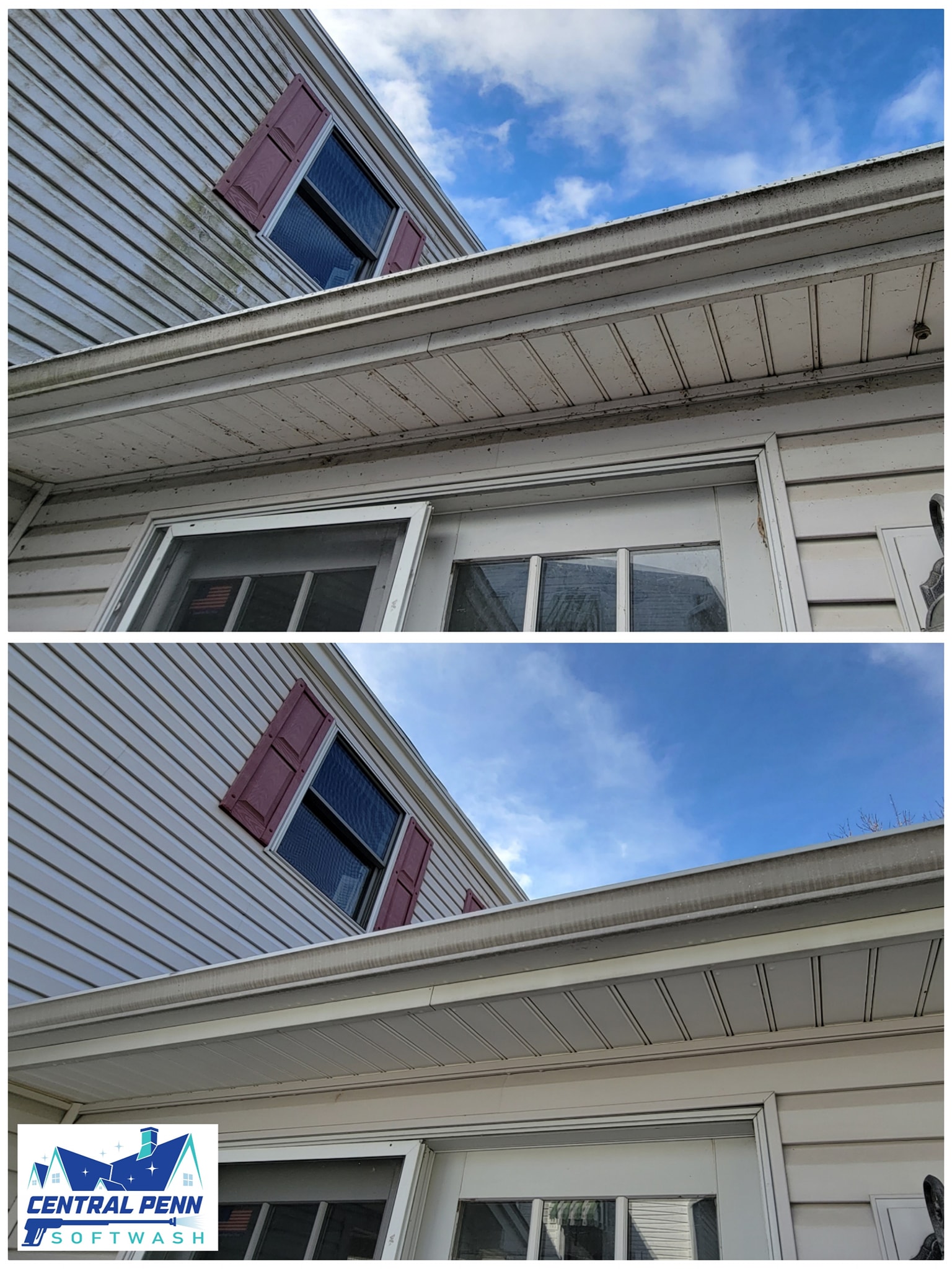 gutter cleaning