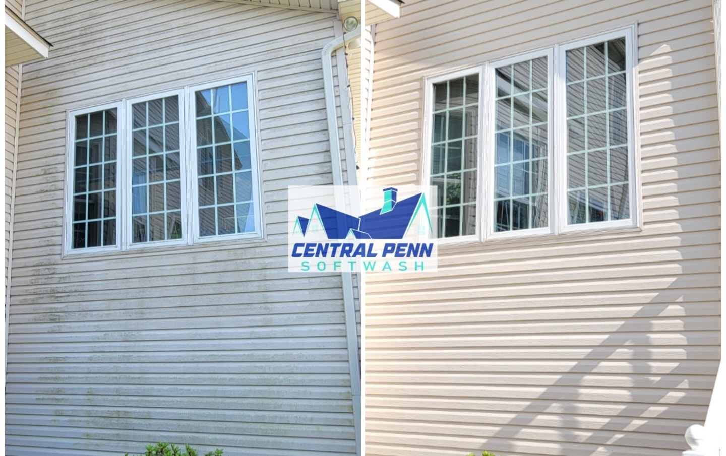 algae removal vinyl siding